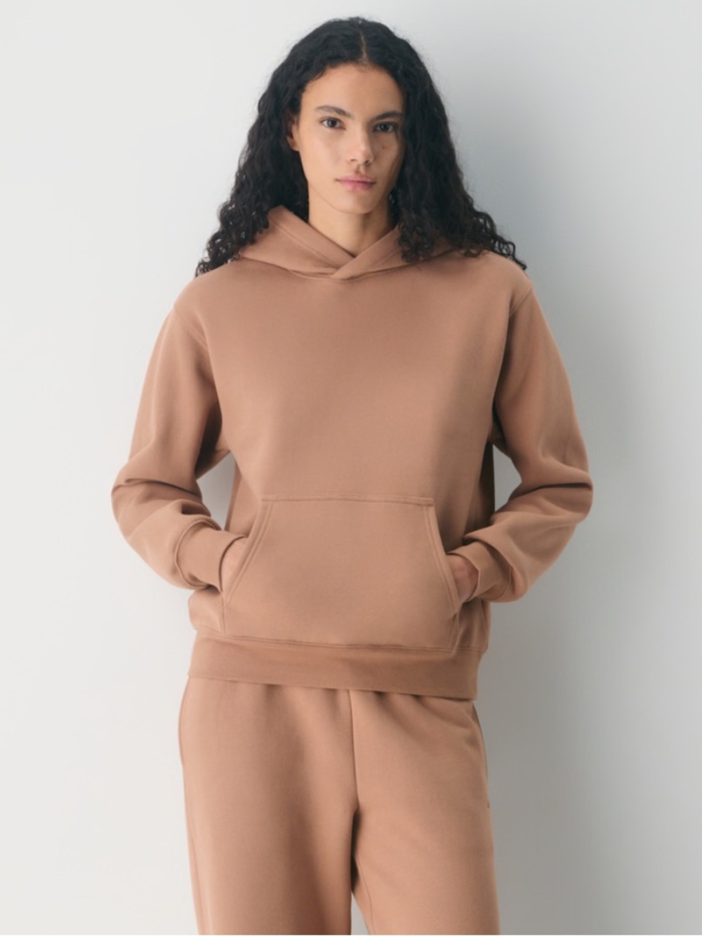 Aritzia Cozy Sweatfleece Perfect Hoodie Medium Chocolate Mousse NWT - Picture 2 of 8